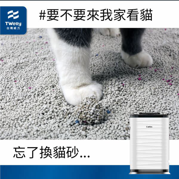 Instagram 广告用组图包(10张图)