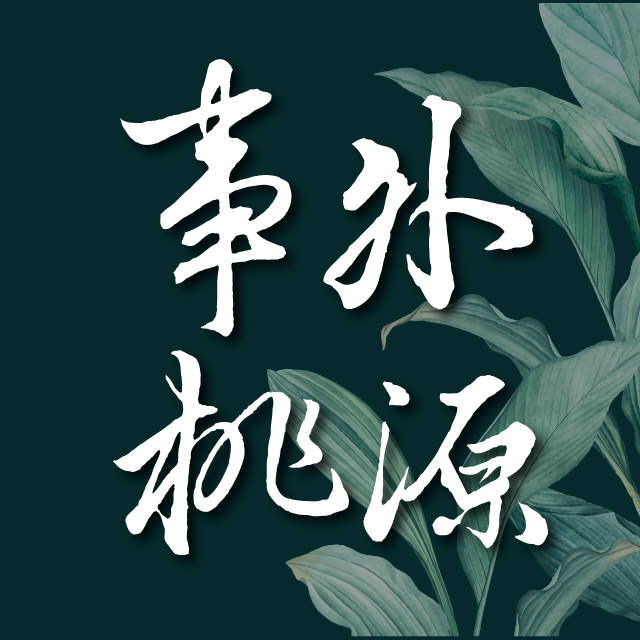 Instagram 商业帐号单张大头贴照视觉设计